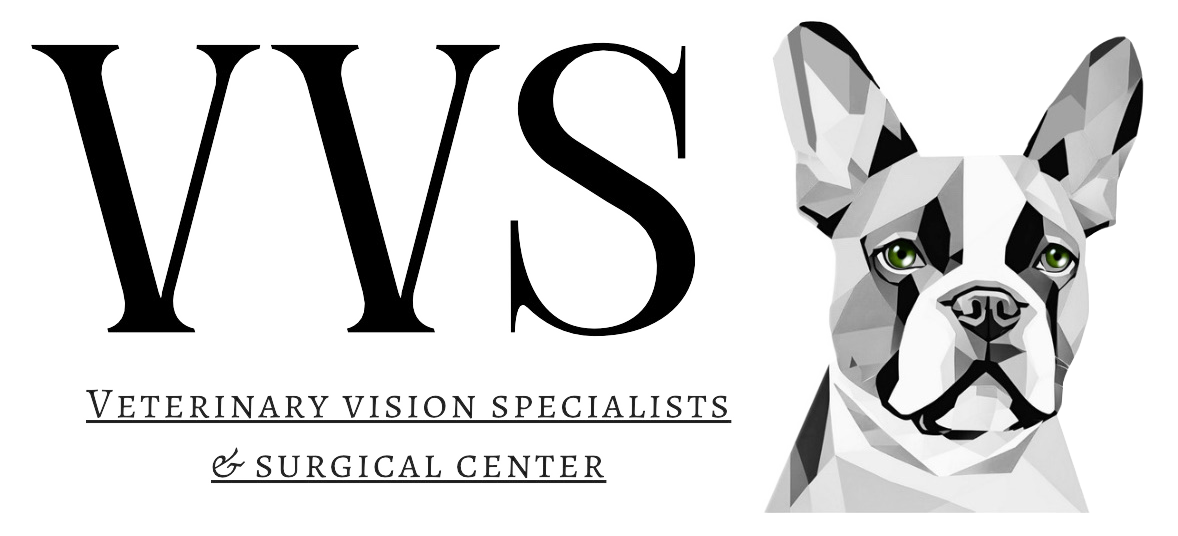 https://vetvisionspecialists.com/