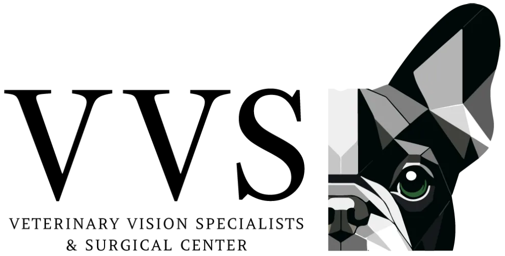 Veterinary Vision Specialists