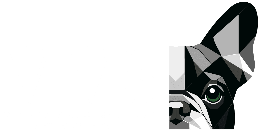 Veterinary Vision Specialists