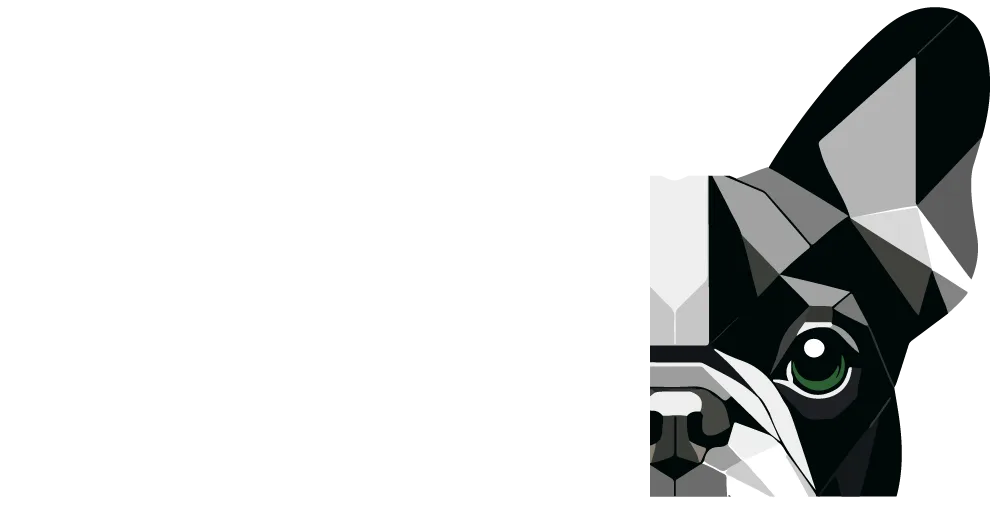 Veterinary Vision Specialists