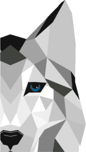 Geometric Wolf Illustration – Veterinary Vision Specialists Veterinary Vision Specialists logo featuring a stylized husky head with geometric shapes and a blue eye, representing animal vision care.