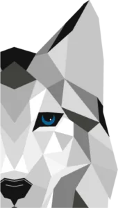 A geometric illustration of a gray wolf&rsquo;s face with a blue eye and black nose, featuring sharp angular shapes and a minimalist design &ndash; Veterinary Vision Specialists